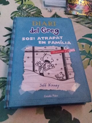 Diari del Greg 6. SOS Atrapat en família!: Trai...
