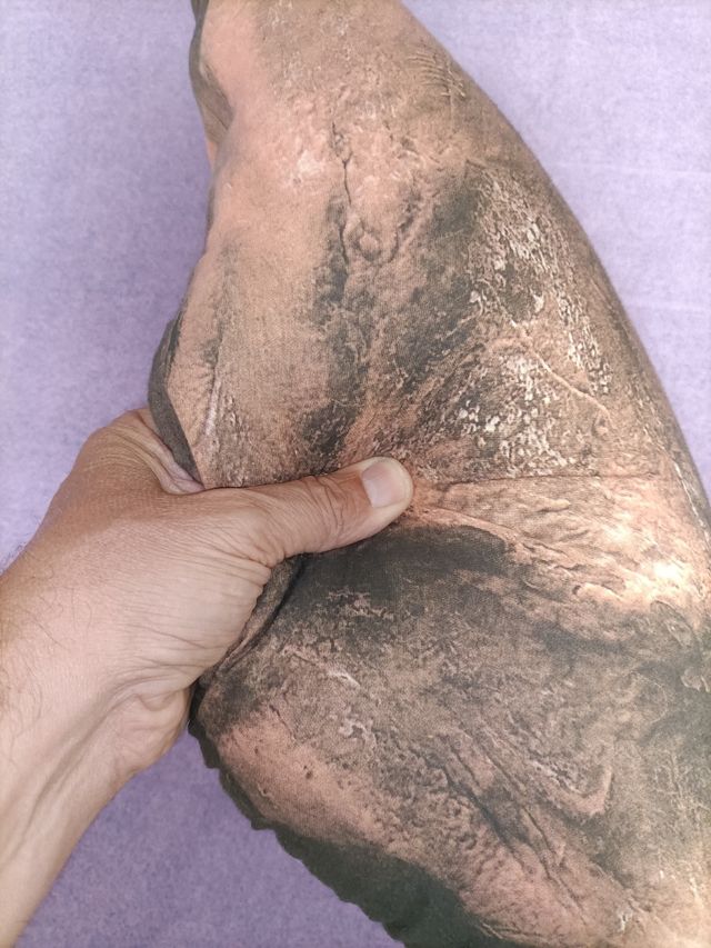 Cuscino al prosciutto iberico