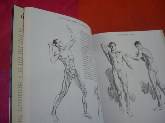 DIBUJO DE LA FIGURA HUMANA ( ANDREW LOOMIS ) ARTE