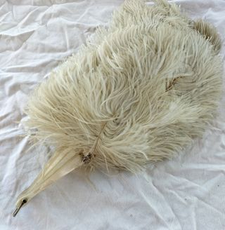 Abanico plumas-nacar