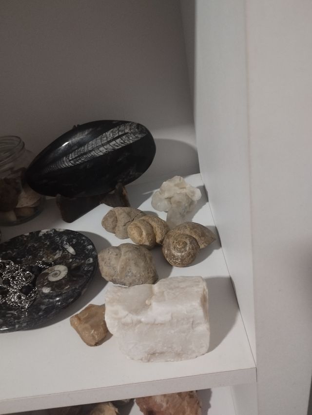 Pack 7 piezas: minerales & fósiles