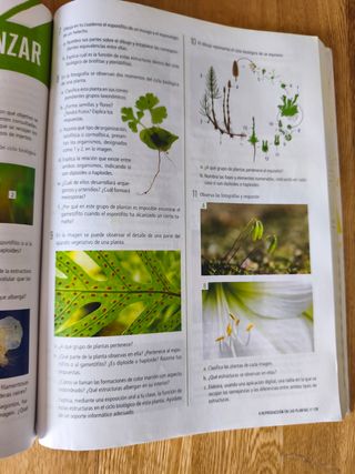 Proyecto: FanFest - Biología, Geología y Cienci...