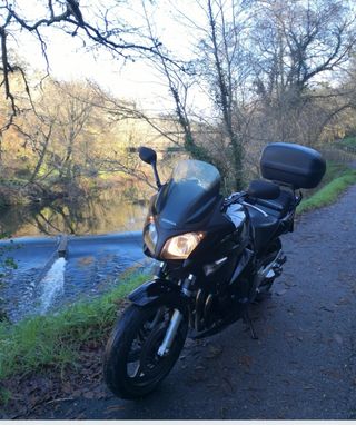 Honda CBF 600 - Moto