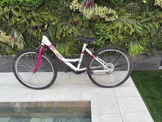 Bicicleta niña 20" Dembike