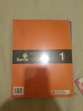 Economía. 1 Bachillerato. Savia (Spanish Edition)