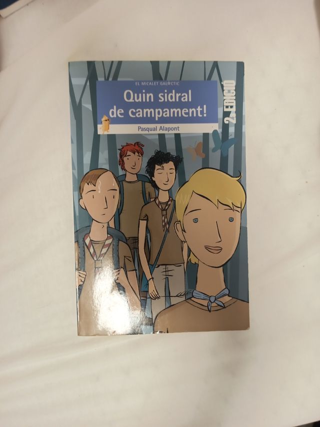 Quin sidral de campament!