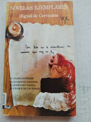 Novelas ejemplares (Serie Literatura española ...