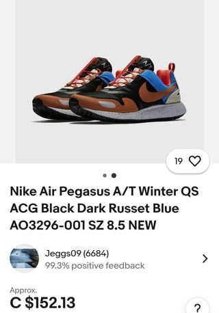 Zapatillas Nike Air Pegasus A/T Winter QS