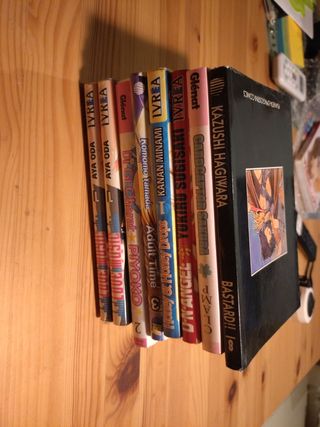 Mangas varios 1€ cada uno