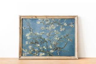 50x70 cm lámina 'Almendro en Flor' -  Van Gogh