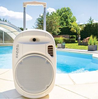 Altavoz Ibiza 12" 700W