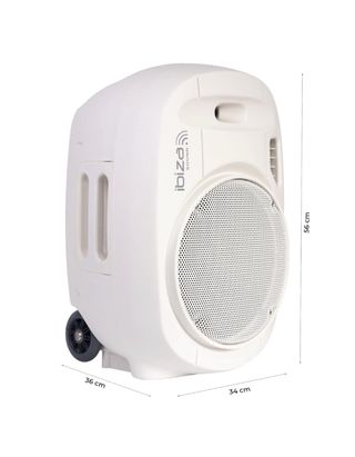 Altavoz Ibiza 12" 700W
