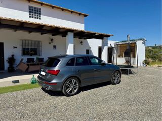 Audi SQ5 2014
