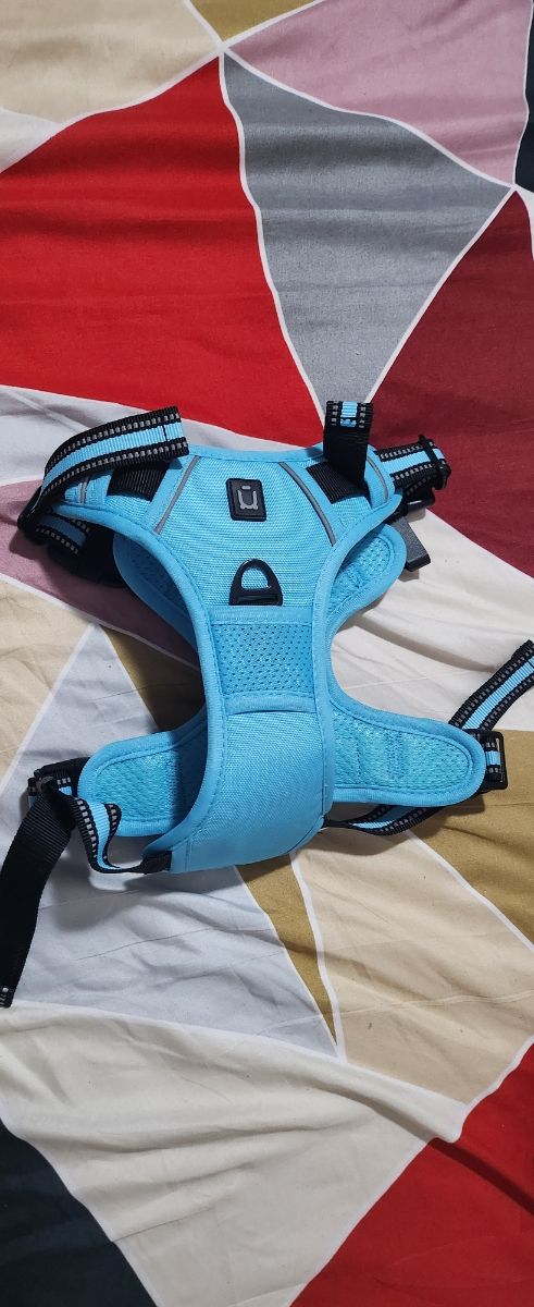 Arnés PERRO Mediano /Pequeño - Azul