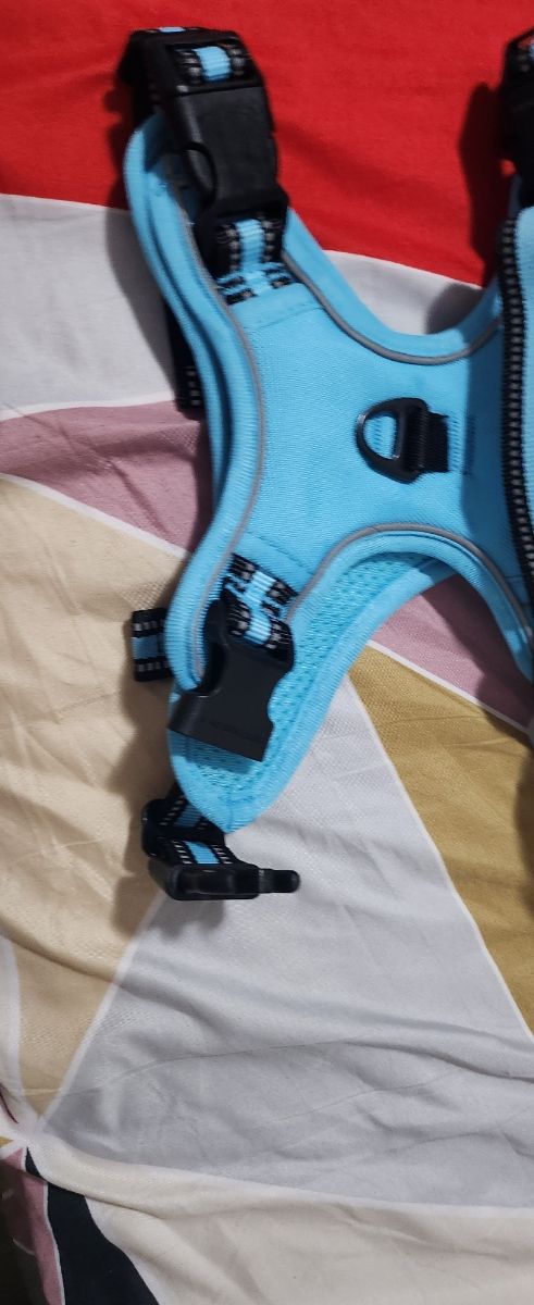 Arnés PERRO Mediano /Pequeño - Azul