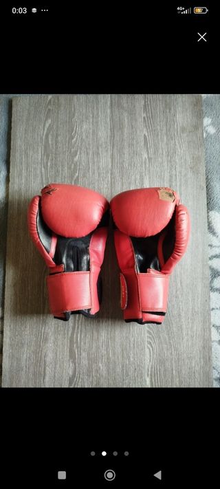 Guantes Everlast boxeo