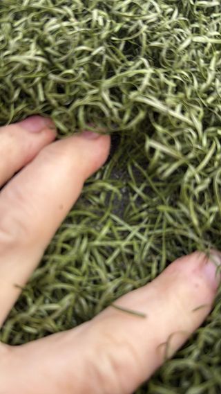 Cesped artificial - Verde oliva