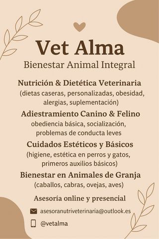 Asesoría Veterinaria Online