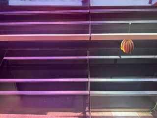 Tipicas estanterias expositoras en negro