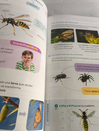 Conocimiento del Medio 3ºEP - 9788413874272