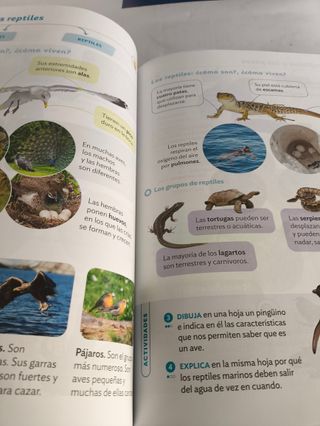 Conocimiento del Medio 3ºEP - 9788413874272