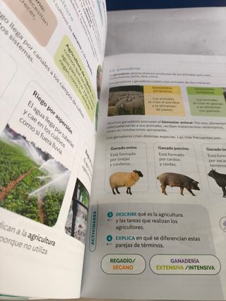 Conocimiento del Medio 3ºEP - 9788413874272