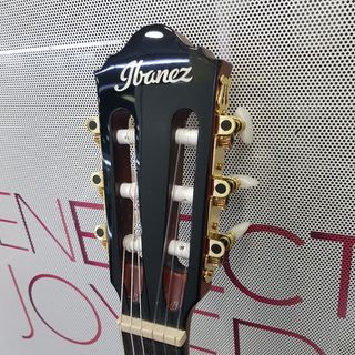 Guitarra Acustica Ibanez AEG50N-BKH