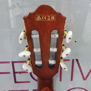 Guitarra Acustica Ibanez AEG50N-BKH