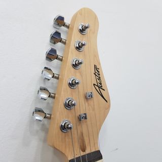 Guitarra Electrica Austin AST100 Black