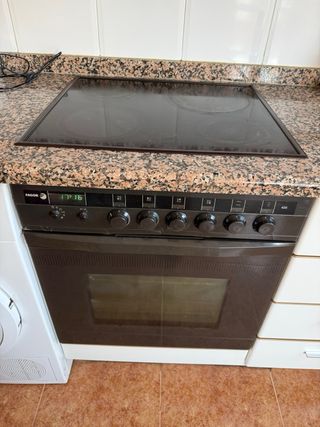 Placa induccion + horno