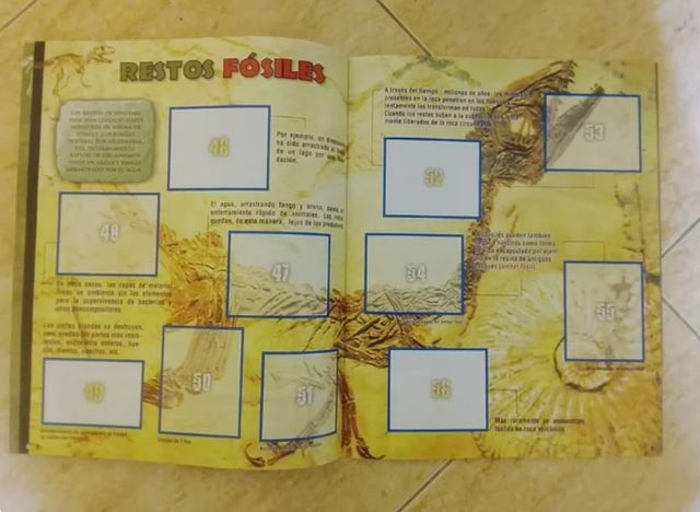 Adesivi per album DINOSAURS NON COMPLETI