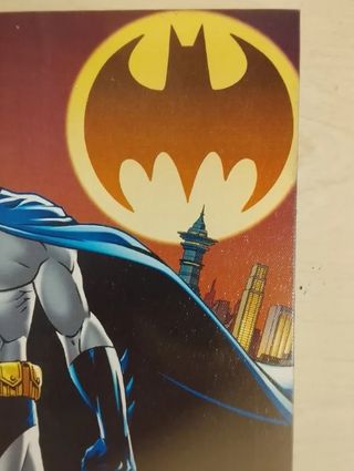 Cuadro Batman - Gotham