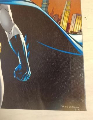 Cuadro Batman - Gotham