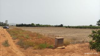 Campo rustico en Alcasser