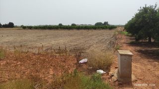 Campo rustico en Alcasser