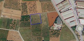 Campo rustico en Alcasser