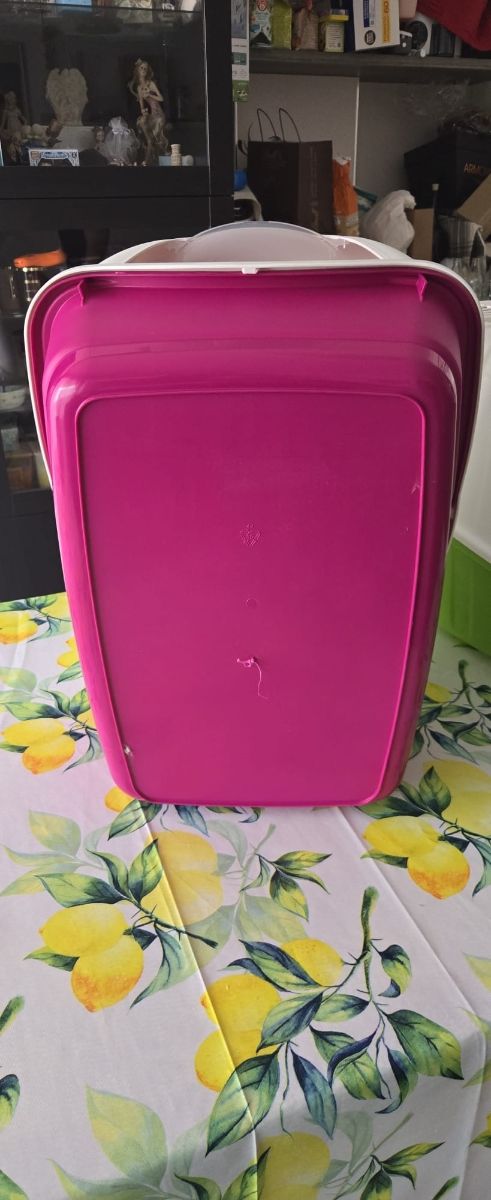 Lettiera Gatti Igloo Rosa