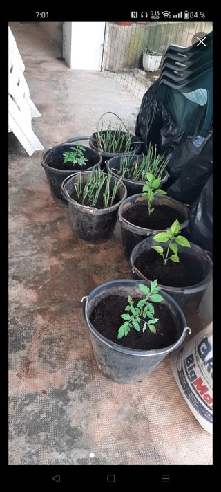 Cubo plástico resistente