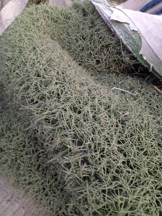 Cesped artificial reciclado