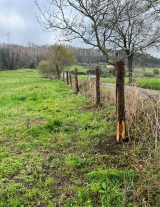 Desbroce de fincas y se hacen cierres!
