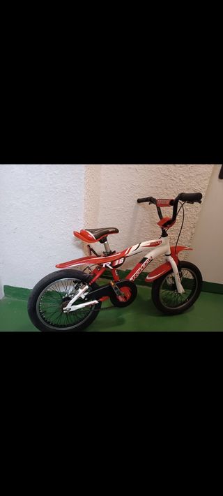 Bicicleta Raleigh R16 niño