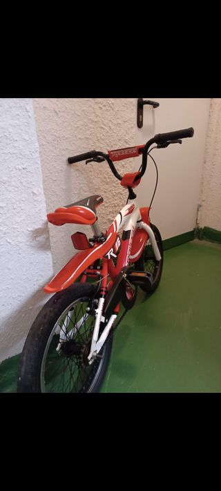 Bicicleta Raleigh R16 niño