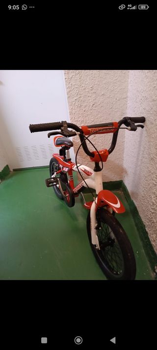 Bicicleta Raleigh R16 niño
