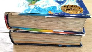 2 libri di Geronimo Stilton: Terzo Viaggio Nel Reg