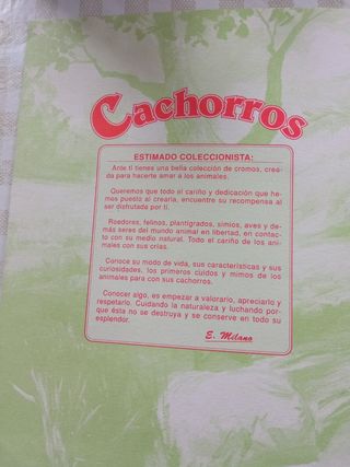 Álbum Cachorros: El Reino Animal