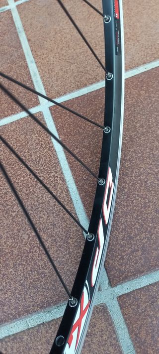 Ruota posteriore per bici Gurpil DPX
