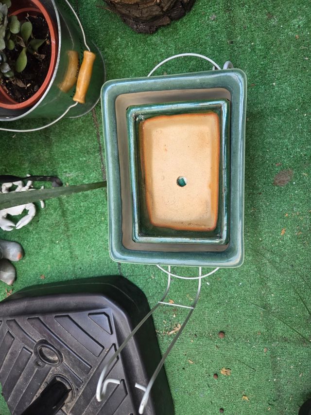 2 Macetas de Bonsái Carro - Cerámica Verde