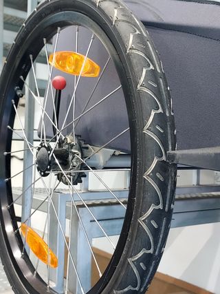 Carro bicicleta Thule Coaster XT