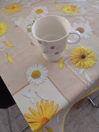 Tazza Brandani in porcellana bianca