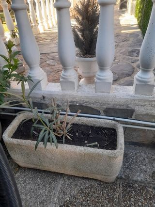 Jardinera piedra gris - Macetero